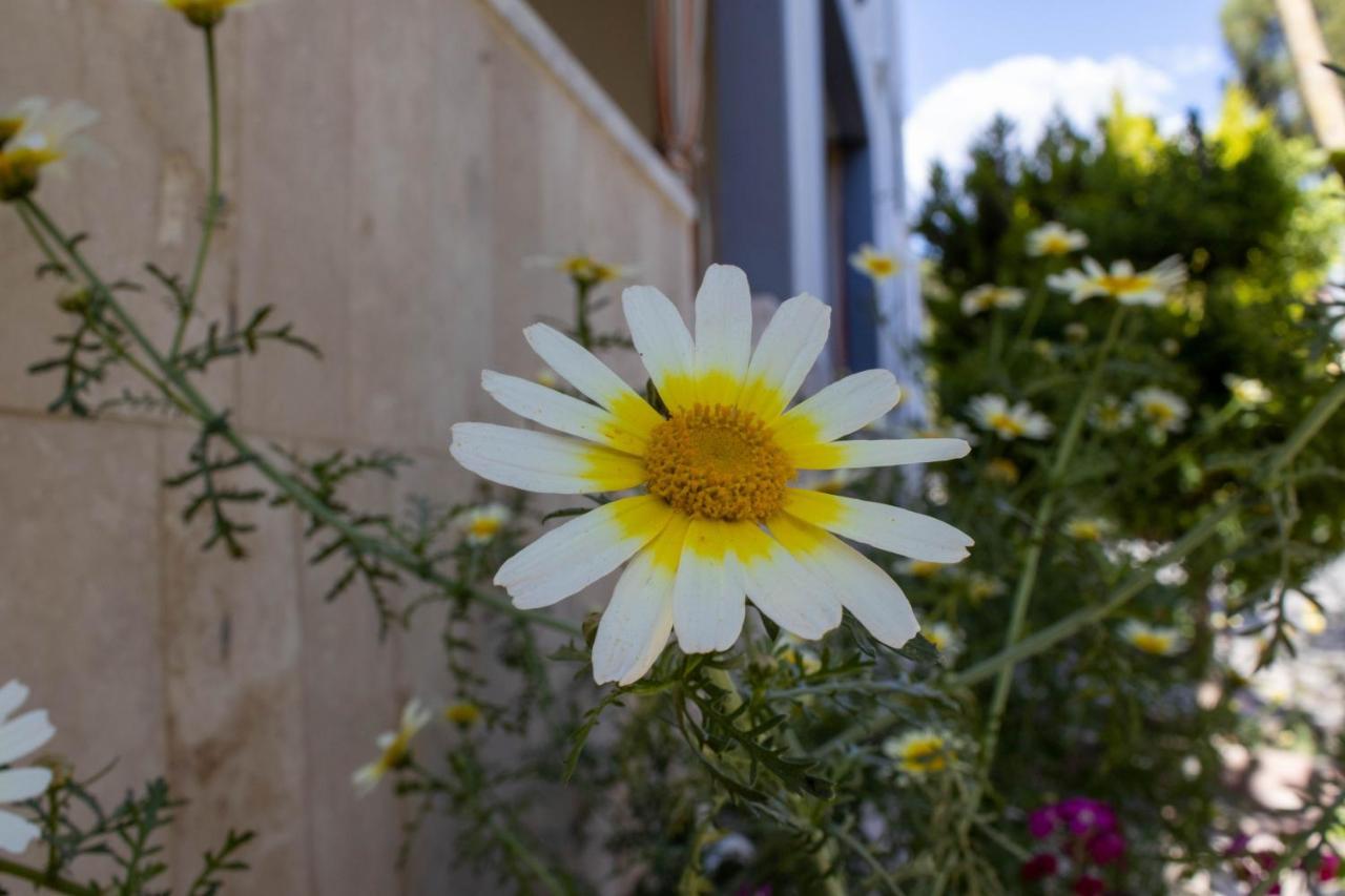 Güneş Apart Otel Pamukkale Exterior foto